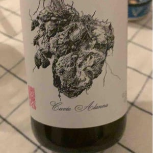 Al Dente - Marto Wines - Weingut Wörner - martin-worner