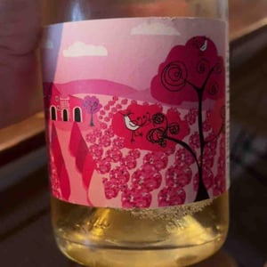 Al Rosa, l'Amor s'Hi Posa - Vinyes Singulars - Ignasi Segui 