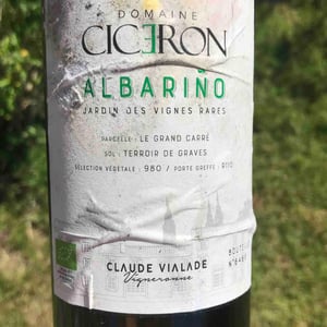 Albarino - Ciceron - claude-vialade -2021