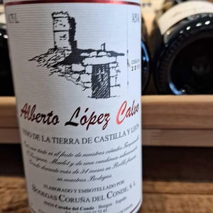 Alberto Lopez Calvo - Bodegas Coruña del Condé - angelica-amo-lopez-julien-ben-hamou-lopez