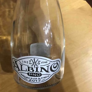 Albino 17