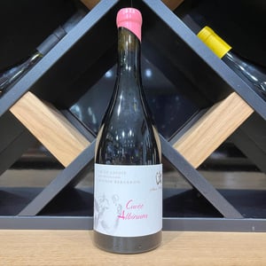 Albinum - Domaine du Cellier des Cray - Adrien Berlioz 