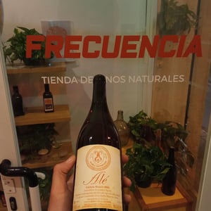 Ale - Vini Conestabile Della Staffa - danilo-marcucci -2022