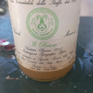 Ale - Vini Conestabile Della Staffa - Danilo Marcucci -2022