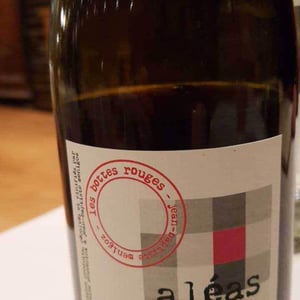 Aléas - Les Bottes Rouges - Florien Klein Snuverink & Jean-Baptiste Menigoz 