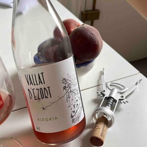 Alegria Rosé - Vallat d'Ezort - manuela-frederic-martin