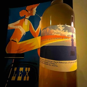 Alexandra D’Alexandrie - Mas Castello - David Dubournais -2022