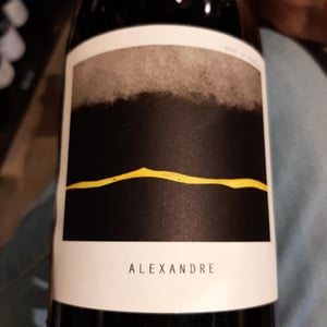 Alexandre - Sous Le Vegetal - patrick-bouju-jason-ligas -2018