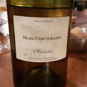 Alexandrie - Mas Coutelou - jean-francois-coutelou
