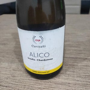 Alico - CVA Canicattì - cva-canicatti -2020