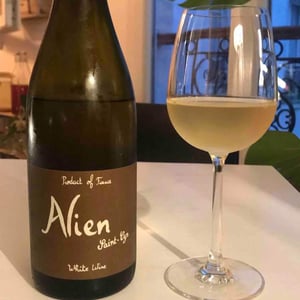 Alien - Domaine Saint-Cyr - raphael-saint-cyr