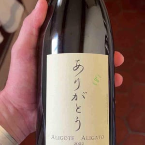 Aligato - La Soufrandière - Bret Brothers - jean-guillaume-jean-philippe-bret