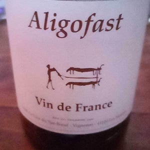 Aligofast - Clos du Tue-Bœuf - zoe-louise-thierry-puzelat