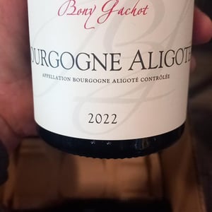 Bourgogne Aligoté - Domaine Bony Gachot - Fabienne Bony et Eva Gachot 