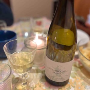 Bourgogne Aligoté - Domaine du Clair Obscur - Jennifer et Pierre Clair 