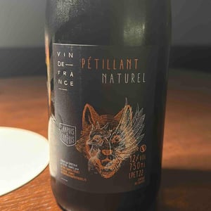 Pétillant Naturel Blanc - Chapuis & Chapuis - romain-jean-guillaume-chapuis -2022
