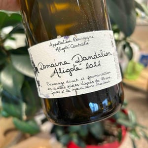 Aligotè - Domaine Dandelion - Morgane Seuillot & Christian Knott -2022