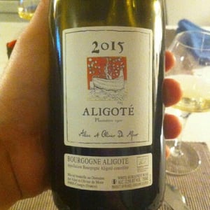 Aligoté Plantation 1902 - Alice & Olivier De Moor - alice-olivier-de-moor