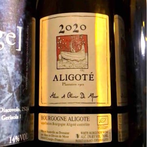 Aligoté Plantation 1902 - Alice & Olivier De Moor - Alice & Olivier De Moor 