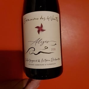 Alizés - Domaine des 4 Vents - Julie Yagound & Antoine Debiastre 