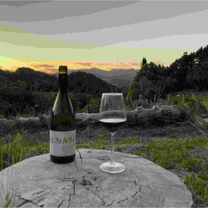 All In Wine - Es d'Aqui - jean-louis-pinto