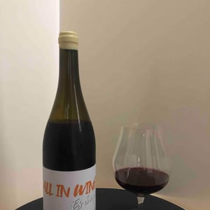 All In Wine - Es d'Aqui - Jean-Louis Pinto 