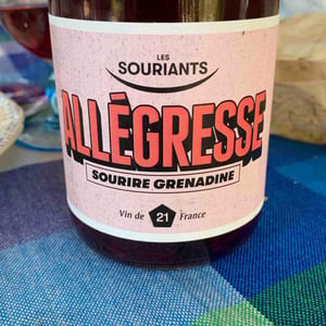 Allégresse - Domaine Les Souriants - Maxime Troncy & Damien Polosse -2021