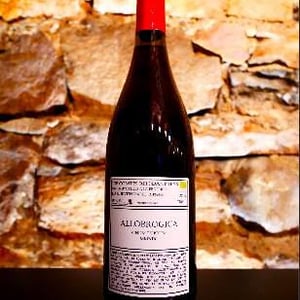 Allobrogica - Domaine des Buis Rond - quentin-harel