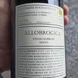Allobrogica - Domaine des Buis Rond - quentin-harel