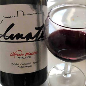 Almate - Bodegas y Viñedos Maestro Tejero - alfredo-maestro-tejero