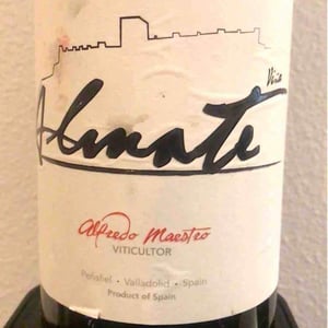 Almate - Bodegas y Viñedos Maestro Tejero - alfredo-maestro-tejero