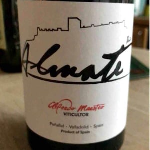 Bodegas y Viñedos Maestro Tejero - Alfredo Maestro Tejero - Almate