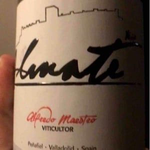Bodegas y Viñedos Maestro Tejero - Alfredo Maestro Tejero - Almate