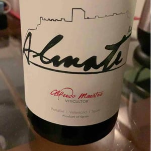 Almate - Bodegas y Viñedos Maestro Tejero - Alfredo Maestro Tejero 
