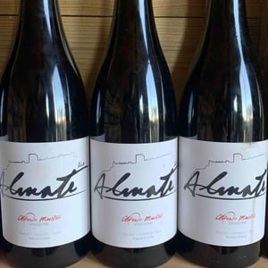 Almate - Bodegas y Viñedos Maestro Tejero - alfredo-maestro-tejero