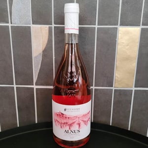 Alnus Etna Rosato - I Vigneri - i-custodi -2020