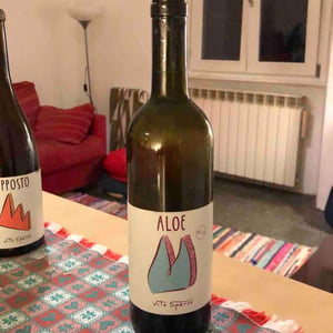 Aloe - Vite Sparse - vite-sparse