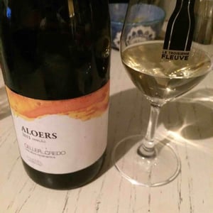 Aloers - Celler Credo - Ton Mata Moliner 