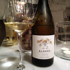 Aloers - Celler Credo - ton-mata-moliner