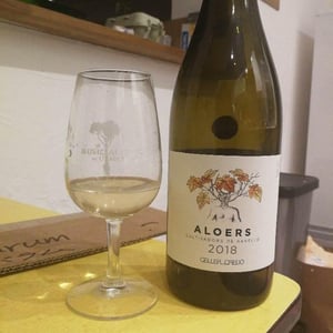 Aloers - Celler Credo - Ton Mata Moliner 