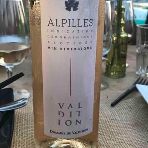 Alpilles - Domaine de Valdition - domaine-de-valdition