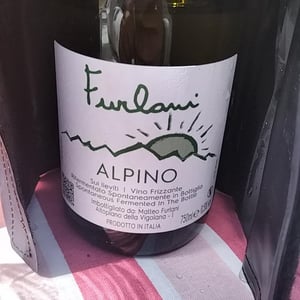 Cantina Furlani - Matteo Furlani - Alpino