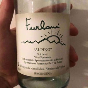 Alpino - Cantina Furlani - Matteo Furlani 