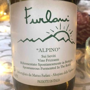 Cantina Furlani - Matteo Furlani - Alpino