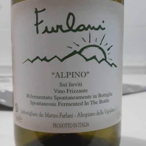 Cantina Furlani - Matteo Furlani - Alpino