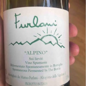 Cantina Furlani - Matteo Furlani - Alpino