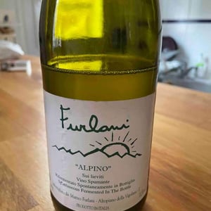 Cantina Furlani - Matteo Furlani - Alpino