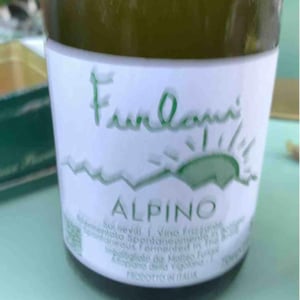 Cantina Furlani - Matteo Furlani - Alpino