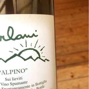 Cantina Furlani - Matteo Furlani - Alpino