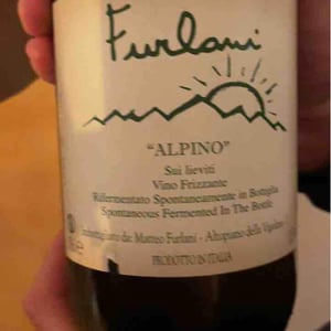 Cantina Furlani - Matteo Furlani - Alpino